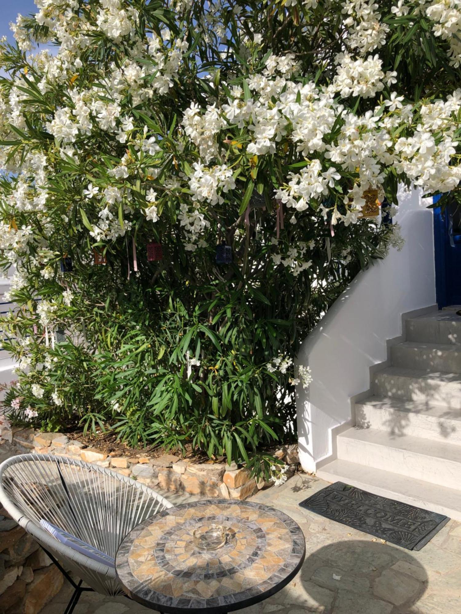 Vrahos Rooms - Studios Alopronia Exterior photo